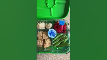 Dexcom G7 - Back to School with Mom Katie and her Dexcom Warriors Micah and Kaleb