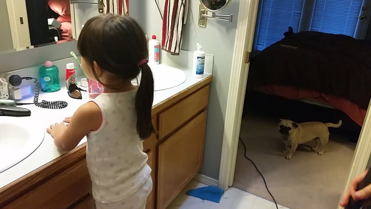 Dad Life Hacks - Ponytail