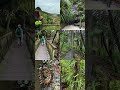 Autumn WalkFest - Mangemangeroa Reserve Ramble