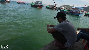 FISHING | CẢ LÀNG THEO CAO THỦ CÂU CÁ GIÒ CÁ DÌA CÁI KẾT BẤT NGỜ | HIGH-QUALITY FISHING COW FISH