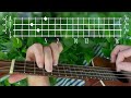Salamander7125  ladybug  ukulele tutorial