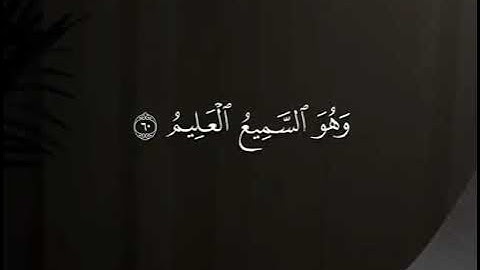  من اجمل ما سمعت👌آيات من سورة العنكبوت 