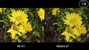 Redmi 5 plus vs mi a1 camera test comparison