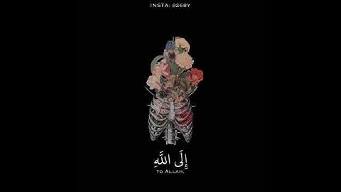 حالة واتس أب دينيه القارئ أنس الشهاب