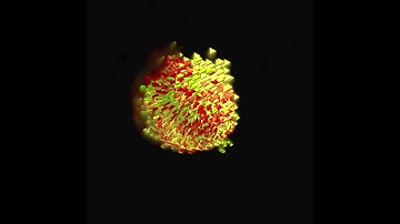 Curl Noise V2