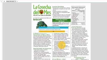 Make Non-English Scanned PDF Editable with OCR on Windows
