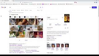 CS50’s  Project0/Search(2021)