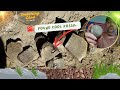 Having a smashing good time while I Found Cool FOSSIL!!
