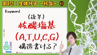 【大学 生化学】第１章：生体分子～核酸①～（後半）核酸塩基の構造書ける？