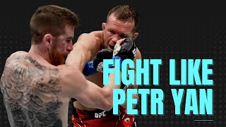 Famous How to Fight like Petr Yan Shadowboxing Workout Profile