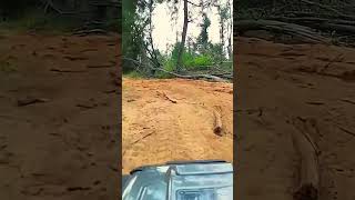 Shake your FPV car🤯