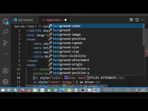 Html style attribute
