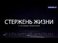 Митрополит Волгоградский и Камышинский Феодор. Программа Стержень жизни.