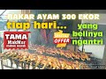 AYAM BAKAKAK SEHARI BISA JUAL 300 EKOR AYAM | HARGA 35RIBU