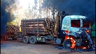 Largest Logging Truck Cars Crazy Drivers Fails In Fire & Dangerous Crossing River In Off Road by TOP TV 724 views 1 month ago 32 minutes