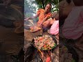 African Village Mum Makes Delicious Beef Stew🥘🔥#Shorts #AfricanVillageLife #BeefStewRecipe #cooking