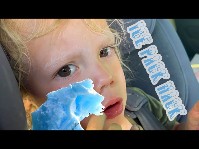 Savvy mom reveals easy sponge hack that gives you ice packs for kids'  lunchboxes