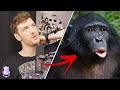 Connor's THICC Monkey Brain Returns