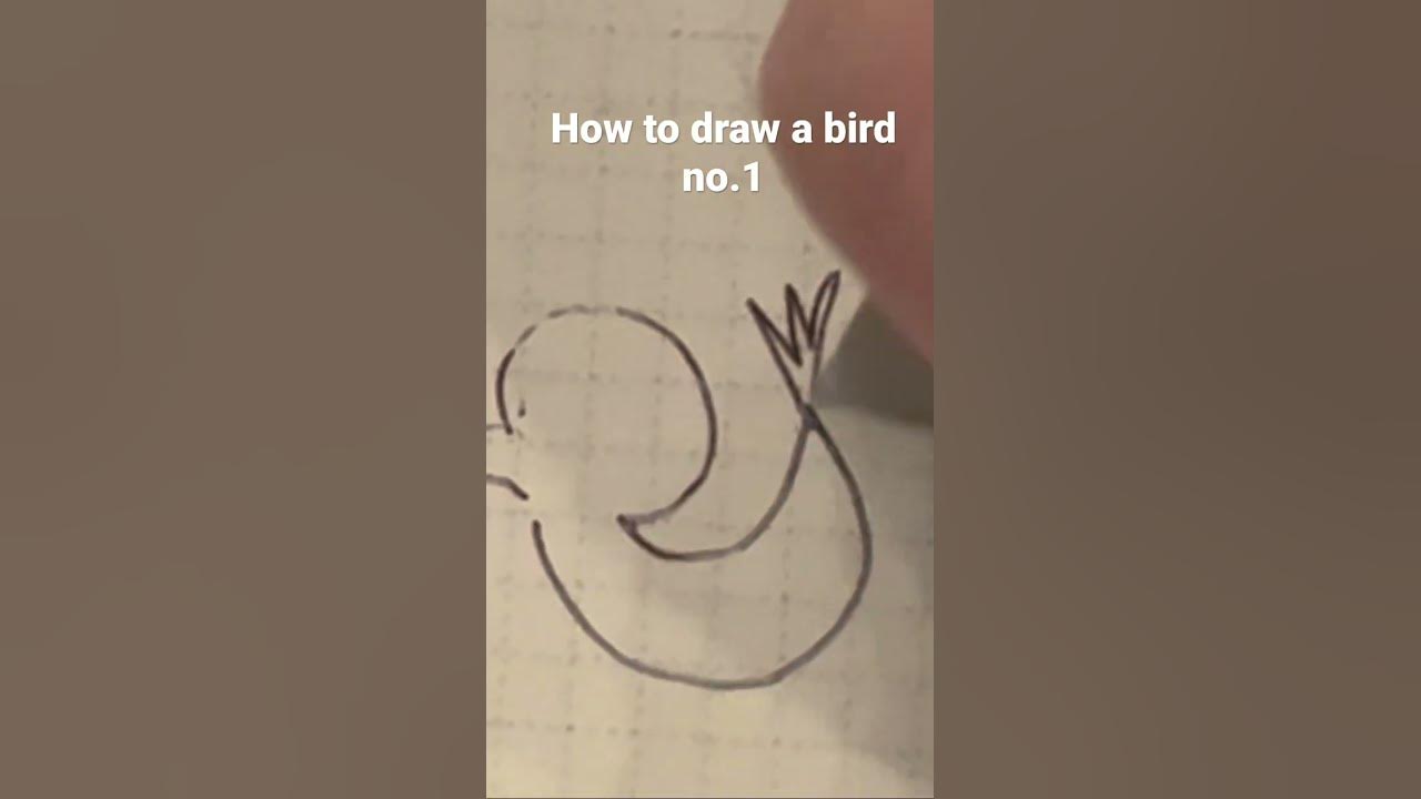 How to draw a bird YouTube