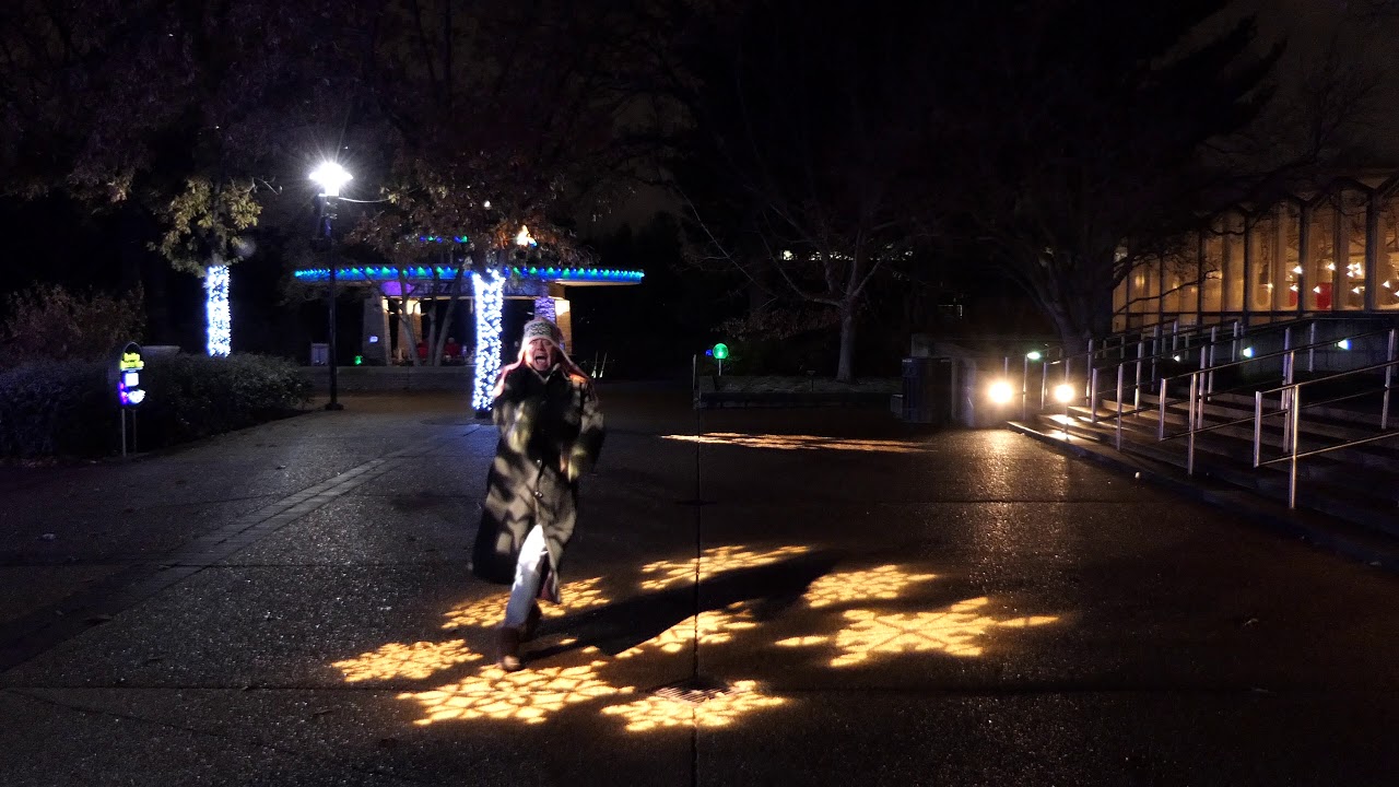 One Lord A Leepin Missouri Botanical Garden Glow 2018 Youtube