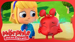 Mila’s Red Balloon | Morphle and the Magic Pets | Fun Cartoons for Kids