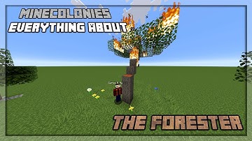 MineColonies Tutorial 1.16 - 1.18 | Everything About :: The Forester