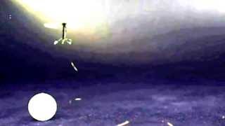 Robotic Insect  World's Smallest Flying Robot Takes Off  2013 HD