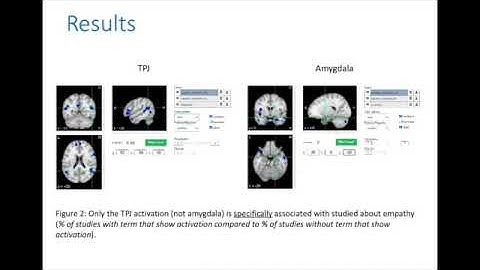 Functional Connectivity between the Right Amygdala and the TPJ in relation to Empathy