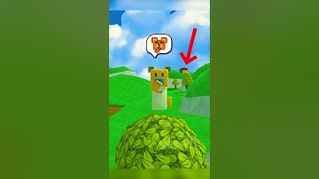 Edge House Mystery Super Bear Adventure #superbearadventure