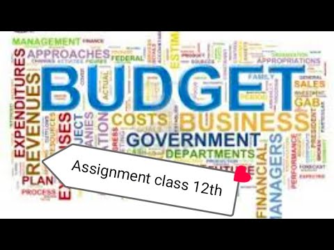 assignment on government budget class 12