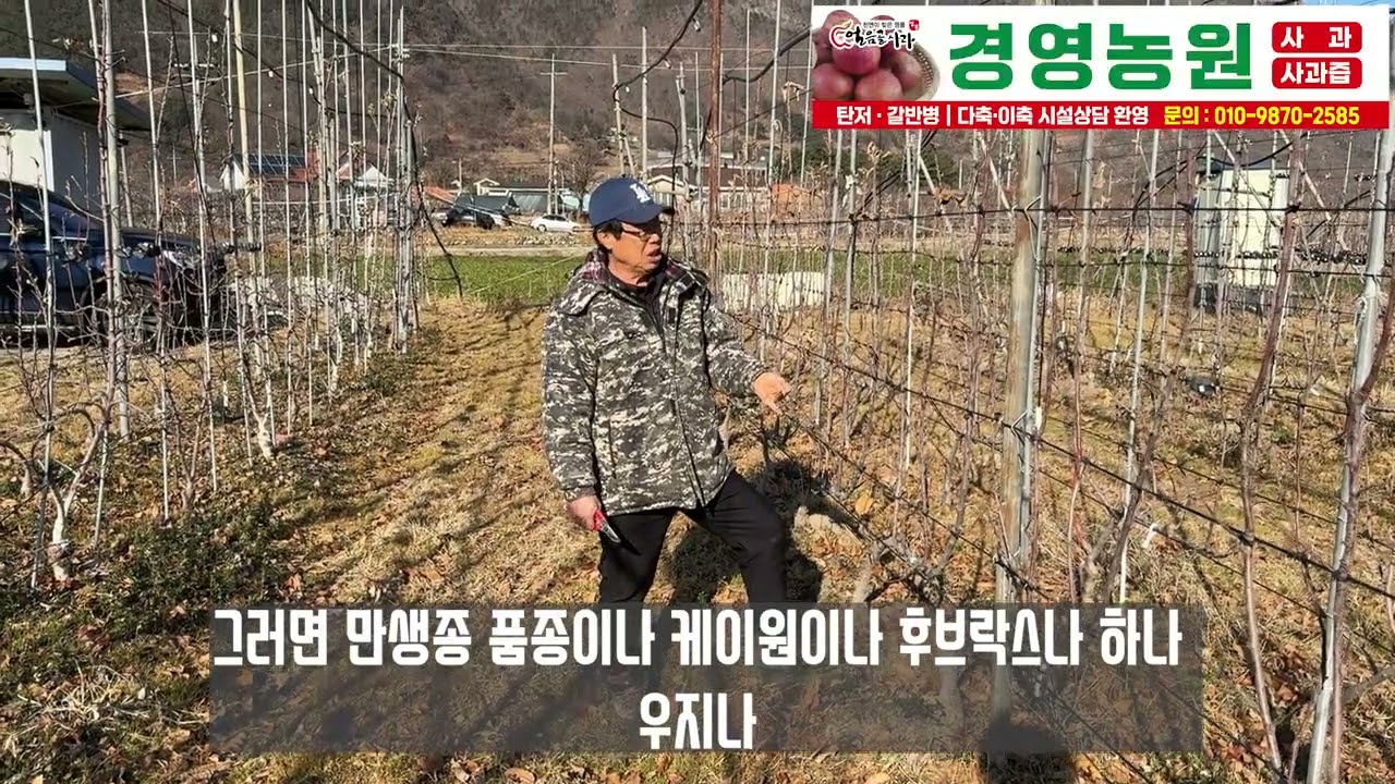 사과 품종에 관하여