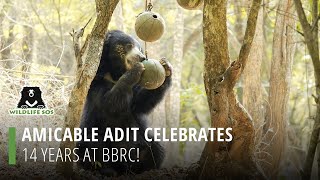 Amicable Adit Celebrates 14 Years At Bbrc!