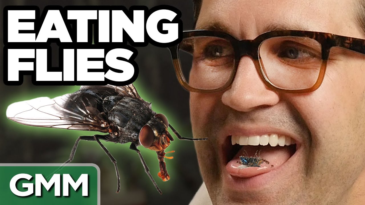 Gross Animal Food Taste Test YouTube