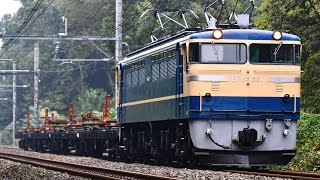 EF65 501 Pトップ　チキ工臨