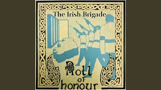 Video thumbnail of "The Irish Brigade - Kevin Lynch"