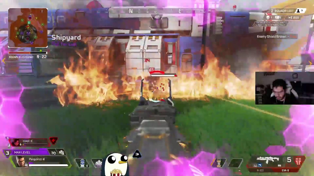 Penguiinzz has awaken for the night!