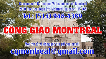 19-11-2025 -Thứ 4 tuần XXXIII mùa Thường Niên, năm lẻ. Kính Thánh Giuse - Thánh lễ 08:30 AM