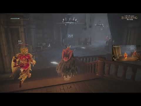 【#2-193】ハカハカしながらエルデンリング2週目DLC【PS5】