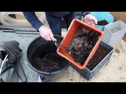 Video: Worms ontsnappen aan compost - Hoe te ontsnappen aan het bewijs van een wormenbak