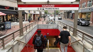 Court Temporarily Blocks Trump's Foreign Student Ban at Harvard