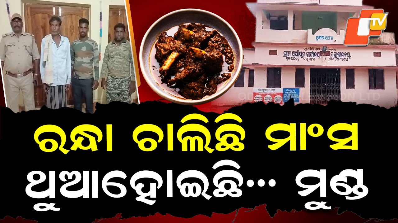 Special Story: Wild Meat Feast Busted Inside Panchayat Office During Wildlife Week in Athagarh