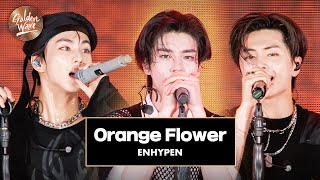 [골든 웨이브] ENHYPEN (엔하이픈) - 'Orange Flower (You Complete Me)' ♪ | JTBC 240504 방송