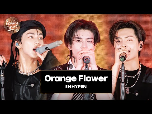 [골든 웨이브] ENHYPEN (엔하이픈) - 'Orange Flower (You Complete Me)' ♪ | JTBC 240504 방송 class=