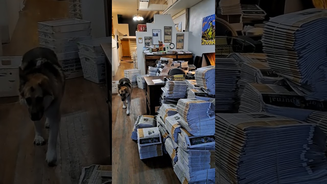 Good morning from the World Journal!