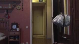ШОК КОНТЕНТ!!!!! Галкин бросил Пугачеву в прямом эфире на гоу голос смотреть онлайн без регистрации! ШОК КОНТЕНТ!!!!! Галкин бросил Пугачеву в прямом эфире на гоу голос смотреть онлайн без регистрации!
