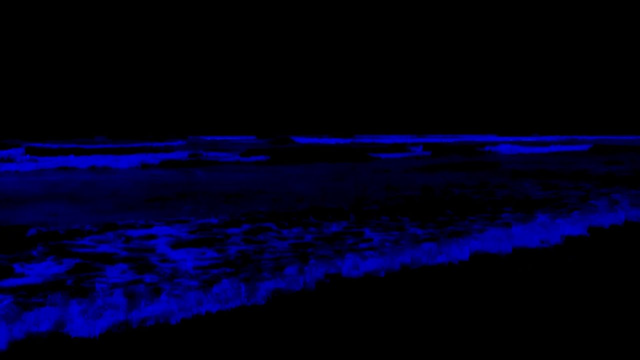 No Ads Adhd Sleep Therapy • Deep Ocean Ambience of Stereo Ocean Sounds of Rolling Waves in Mid Night