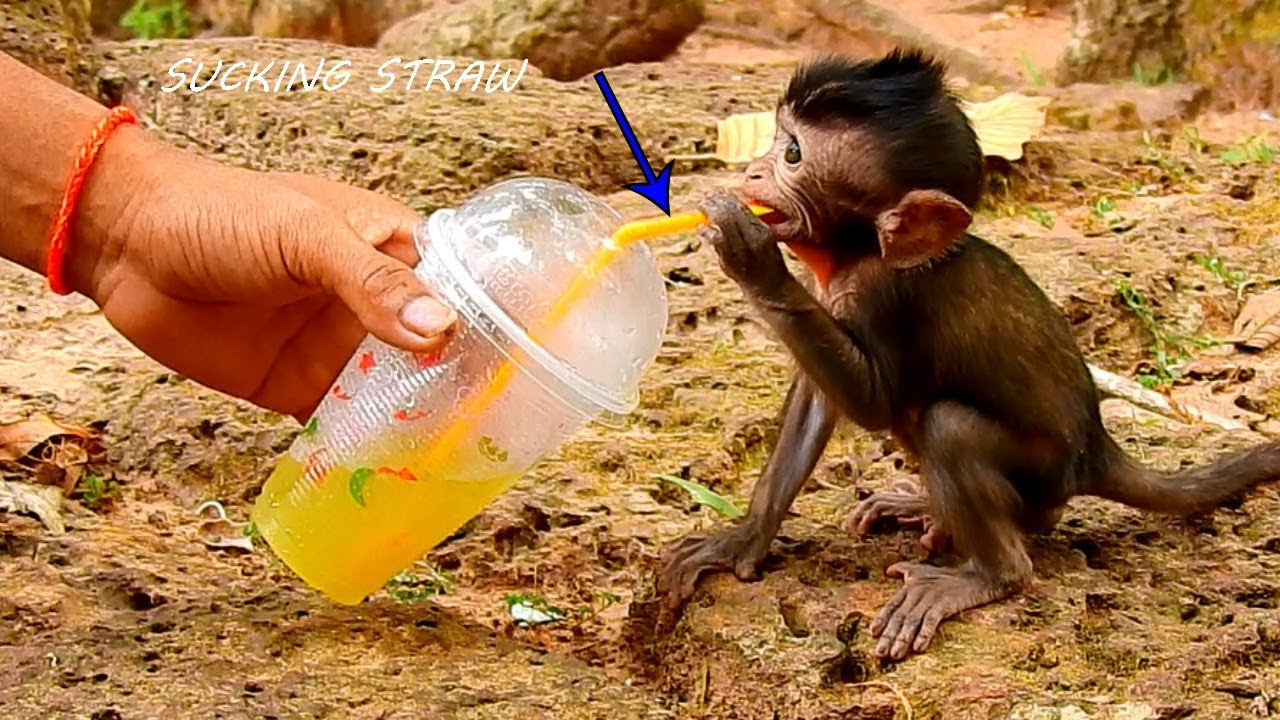 OMG, Look Like Daniela Know How To Drink With Straw,Baby Hungry Milk,Dana Give Up Her