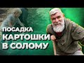 Ошибки соломенного земледелия//Живая Баня Иван Бояринцев