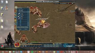 Conquer Online private server Orion Prof weapon bug