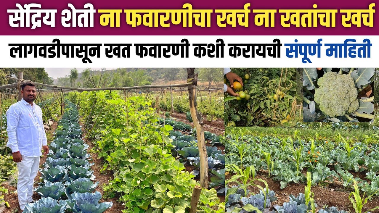 आधुनिक सेंद्रिय शेती A to Z संपूर्ण माहिती | Organic Farming 
